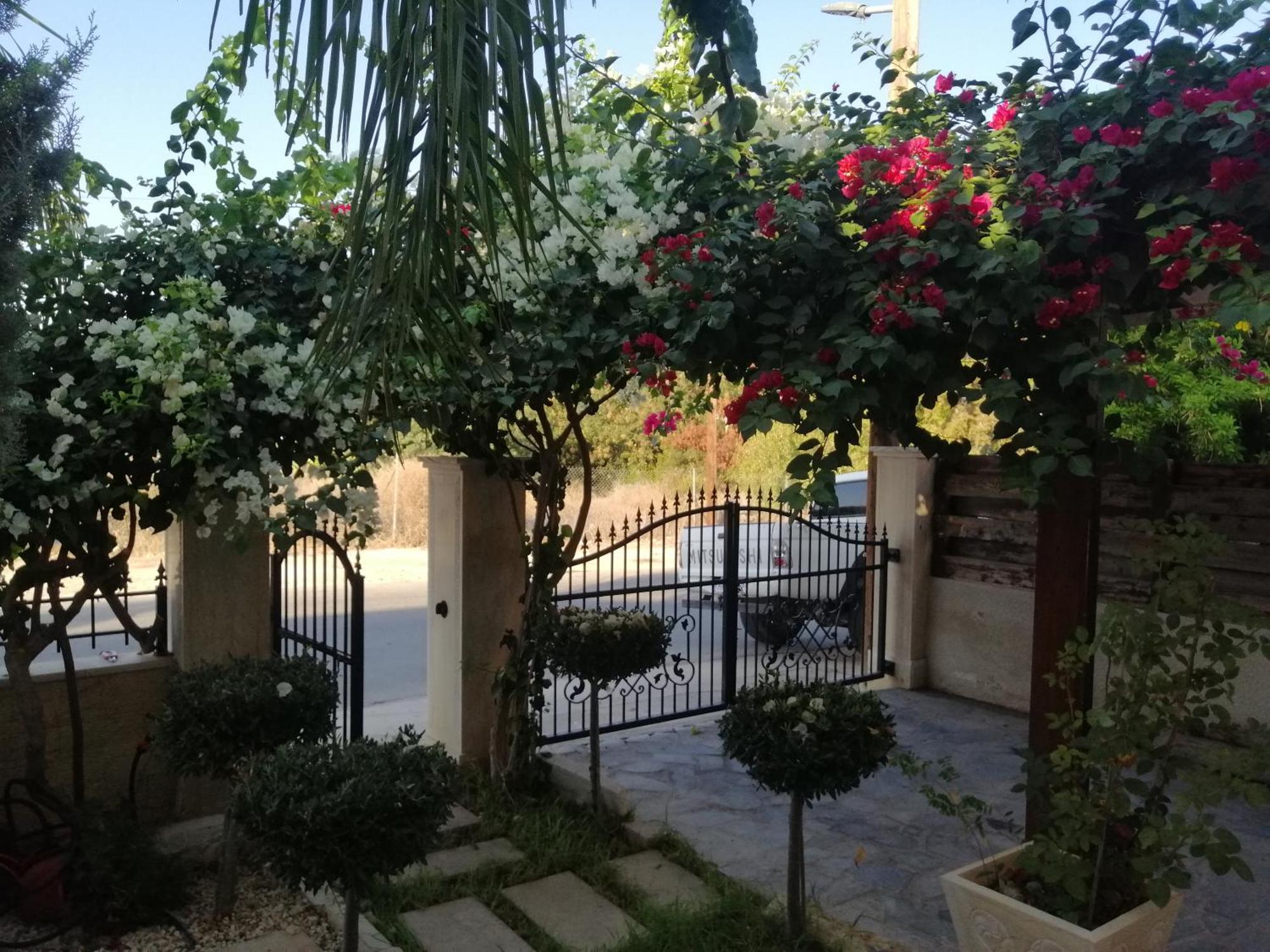 Villa Myria Paphos Phòng bức ảnh